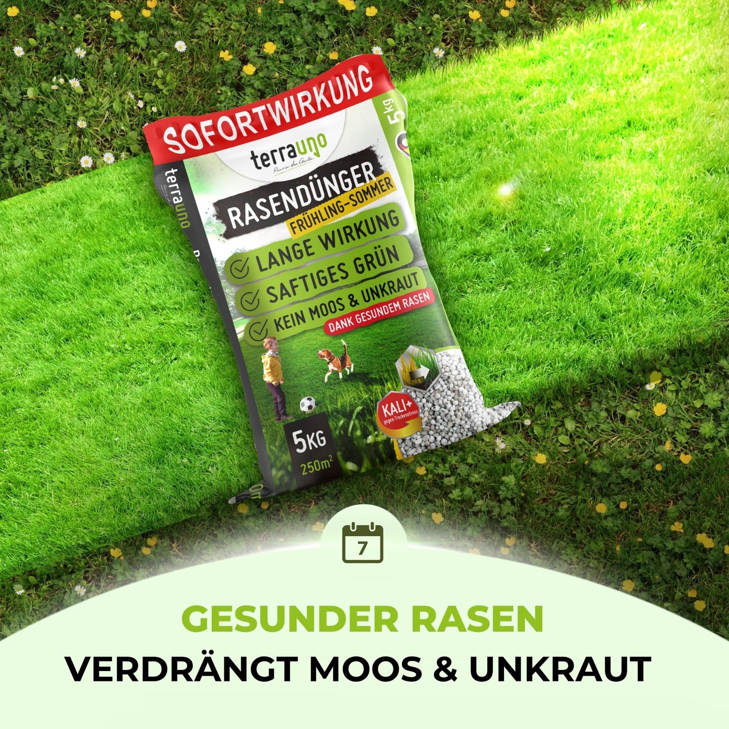 TerraUno Rasendünger für Frühjahr/Sommer: Sofortwirkung - 20kg für 1000m²