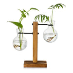 Vase ampoule transparent avec support en bois | Hydroponique